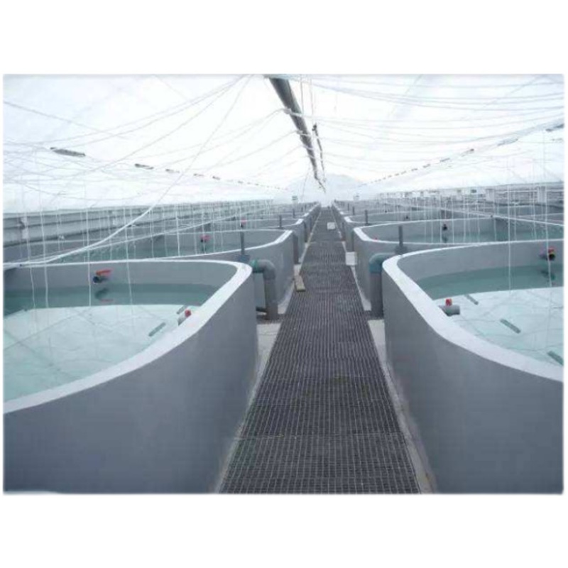 智能循环水养殖系统鱼虾蟹高密度水产养殖成套水处理过滤设备